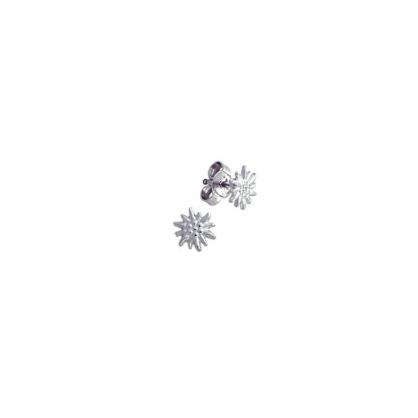  Ohrstecker S.925 Edelweiss - 